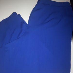 Signature by Harve Bernard  Electric Blue Pants